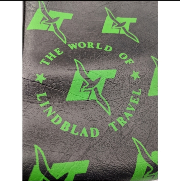 Vintage Lindblad luggage travel bag blue satchel green birds - Picture 2 of 5